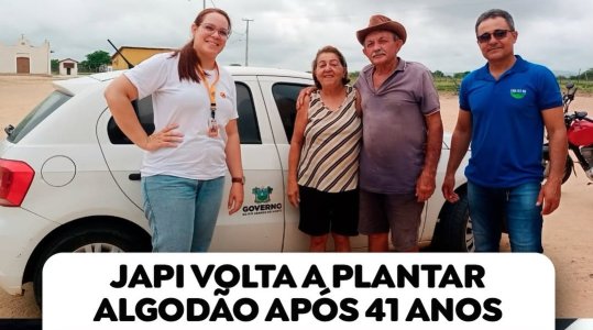Japi retoma cultivo de algodão após 40 anos com foco na agricultura familiar sustentável